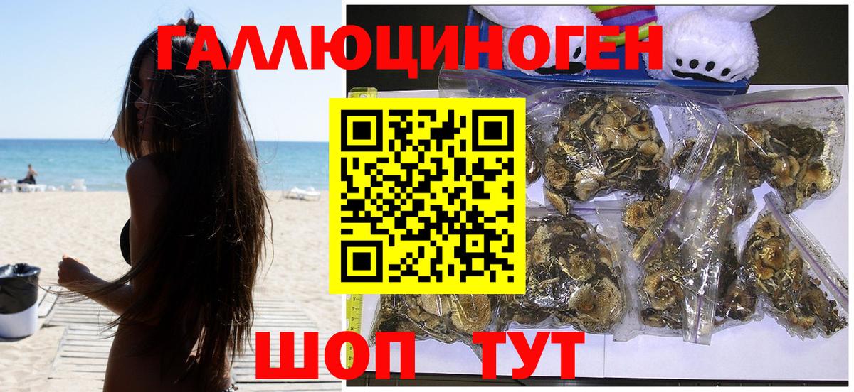 Псилоцибиновые грибы Psilocybine cubensis  Псилоцибиновые грибы ЛСД  Клин  Вход с VPN 