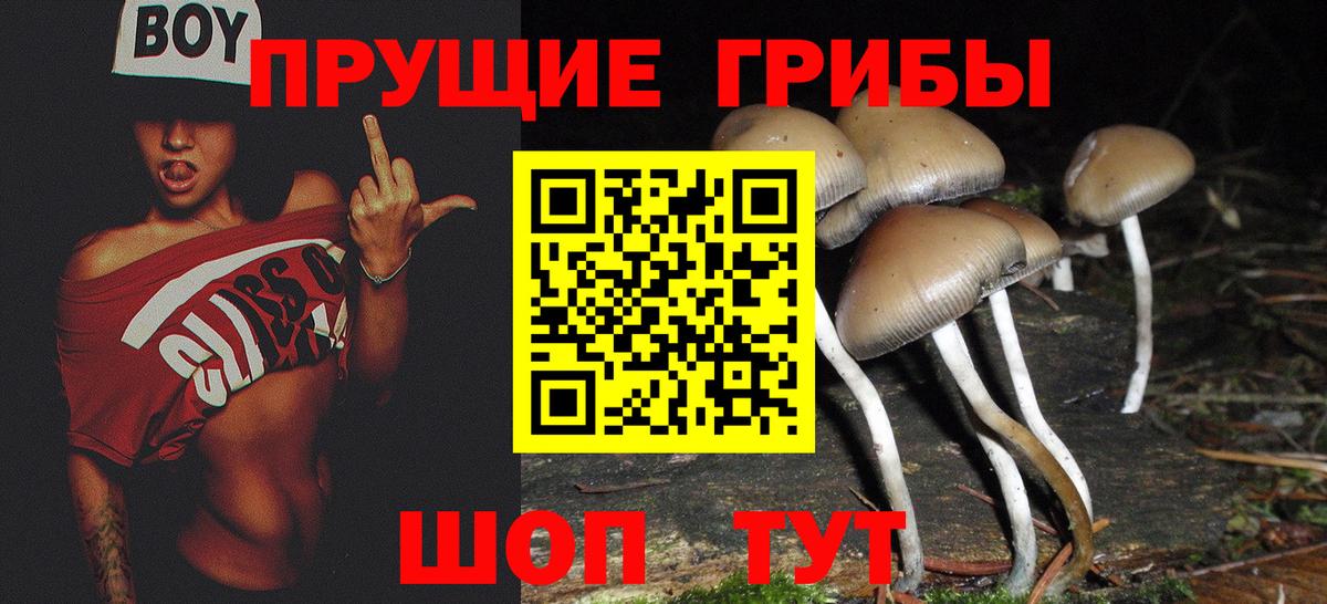 Галлюциногенные грибы MAGIC MUSHROOMS Клин